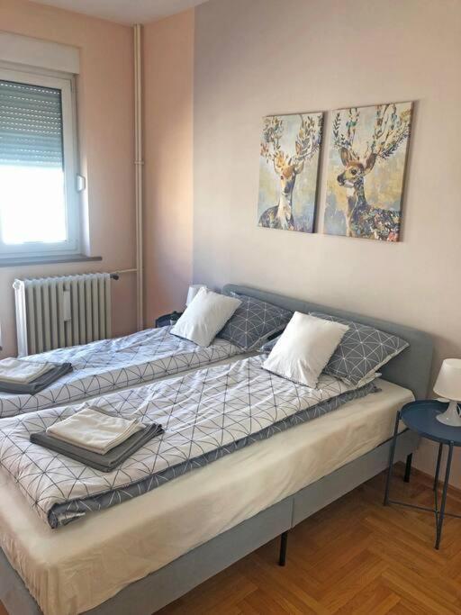 Quince Apartment-Free Parking-City Center Beograd Bagian luar foto