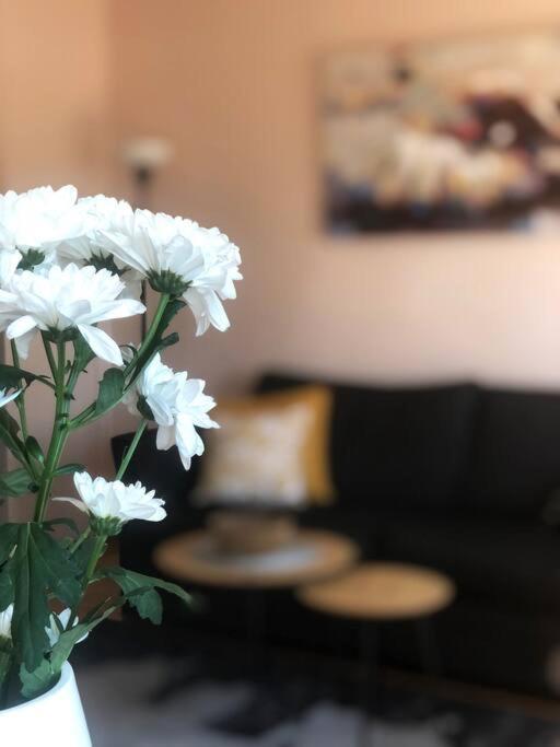 Quince Apartment-Free Parking-City Center Beograd Bagian luar foto